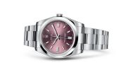 Rolex - 116000-0010  Oyster Perpetual 36 Red Grape