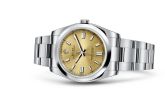 Rolex - 116000-0011  Oyster Perpetual 36 White Grape