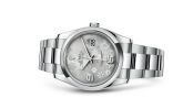 Rolex - 116200-0071  Datejust 36 Stainless Steel Domed / Oyster / Silver Floral