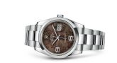 Rolex - 116200-0073  Datejust 36 Stainless Steel Domed / Oyster / Chocolate Floral