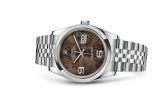 Rolex - 116200-0087  Datejust 36 Stainless Steel Domed / Jubilee  / Chocolate Floral