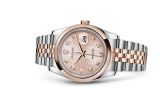 Rolex - 116201-0062  Datejust 36 Rolesor Everose Domed / Oyster / Pink Computer