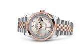 Rolex - 116201-0063  Datejust 36 Rolesor Everose Domed / Jubilee / Silver Diamond