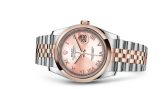 Rolex - 116201-0070  Datejust 36 Rolesor Everose Domed / Jubilee / Pink Roman