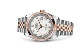 Rolex - 116201-0074  Datejust 36 Rolesor Everose Domed / Jubilee / White Roman