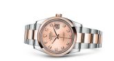 Rolex - 116201-0081  Datejust 36 Rolesor Everose Domed / Oyster / Pink Diamond