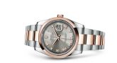 Rolex - 116201-0090  Datejust 36 Rolesor Everose Domed / Oyster / Steel Roman