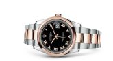 Rolex - 116201-0092  Datejust 36 Rolesor Everose Domed / Oyster / Black Roman