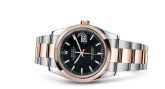 Rolex - 116201-0094  Datejust 36 Rolesor Everose Domed / Oyster / Black