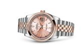 Rolex - 116201-0097  Datejust 36 Rolesor Everose Domed / Jubilee / Pink