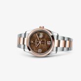 Rolex - 116201-0105  Datejust 36 Rolesor Everose Domed / Oyster / Chocolate Floral