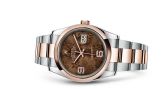 Rolex - 116201-0105  Datejust 36 Rolesor Everose Domed / Oyster / Chocolate Floral