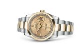 Rolex - 116203-0125  Datejust 36 Rolesor Yellow Domed / Oyster / Champagne