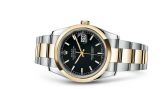 Rolex - 116203-0126  Datejust 36 Rolesor Yellow Domed / Oyster / Black