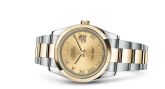 Rolex - 116203-0128  Datejust 36 Rolesor Yellow Domed / Oyster / Champagne Roman