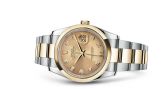 Rolex - 116203-0130  Datejust 36 Rolesor Yellow Domed / Oyster / Champagne Diamonds