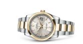 Rolex - 116203-0131  Datejust 36 Rolesor Yellow Domed / Oyster / Silver