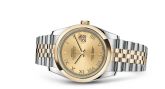 Rolex - 116203-0141  Datejust 36 Rolesor Yellow Domed / Jubilee / Champagne Roman