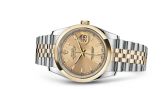 Rolex - 116203-0142  Datejust 36 Rolesor Yellow Domed / Jubilee / Champagne