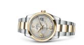 Rolex - 116203-0146  Datejust 36 Rolesor Yellow Domed / Oyster / Silver Floral