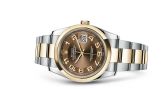 Rolex - 116203-0152  Datejust 36 Rolesor Yellow Domed / Oyster / Bronze Arabic