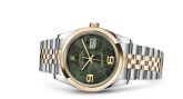 Rolex - 116203-0162  Datejust 36 Rolesor Yellow Domed / Jubilee / Green Floral