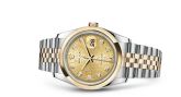 Rolex - 116203-0173  Datejust 36 Rolesor Yellow Domed / Jubilee / Champagne Computer