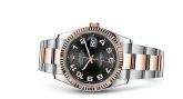 Rolex - 116231-0066  Datejust 36 Rolesor Everose Fluted / Oyster / Black Arabic