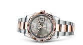 Rolex - 116231-0069  Datejust 36 Rolesor Everose Fluted / Oyster / Steel Roman