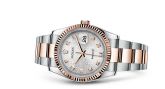 Rolex - 116231-0077  Datejust 36 Rolesor Everose Fluted / Oyster / Silver Computer