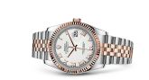 Rolex - 116231-0084  Datejust 36 Rolesor Everose Fluted / Jubilee / White Roman