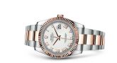 Rolex - 116231-0092  Datejust 36 Rolesor Everose Fluted / Oyster / White Roman