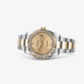 Rolex - 116233-0172  Datejust 36 Rolesor Yellow Fluted / Oyster / Champagne