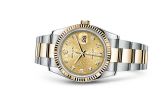 Rolex - 116233-0192  Datejust 36 Rolesor Yellow Fluted / Oyster / Champagne Computer