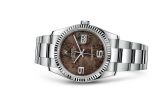 Rolex - 116234-0145  Datejust 36 Stainless Steel Fluted / Oyster / Chocolate Floral