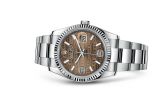 Rolex - 116234-0156  Datejust 36 Stainless Steel Fluted / Oyster / Bronze Wave