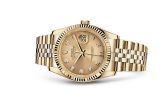 Rolex - 116238-0061  Datejust 36 Yellow Gold Fluted / Jubilee / Champagne Diamonds