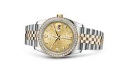 Rolex - 116243-0004  Datejust 36 Rolesor Yellow Diamond / Jubilee / Champagne Computer