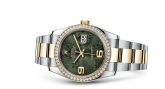 Rolex - 116243-0006  Datejust 36 Rolesor Yellow Diamond / Oyster / Green Floral