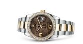 Rolex - 116243-0007  Datejust 36 Rolesor Yellow Diamond / Oyster / Bronze Floral