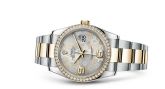 Rolex - 116243-0008  Datejust 36 Rolesor Yellow Diamond / Oyster / Silver Floral