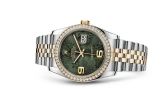 Rolex - 116243-0009  Datejust 36 Rolesor Yellow Diamond / Jubilee / Green Floral