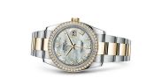 Rolex - 116243-0026  Datejust 36 Rolesor Yellow Diamond / Oyster / MOP Roman