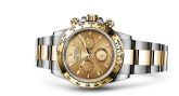 Rolex - 116503-0003  Cosmograph Daytona Stainless Steel / Yellow Gold / Champagne