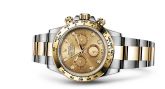 Rolex - 116503-0006  Cosmograph Daytona Stainless Steel / Yellow Gold / Champagne Diamond