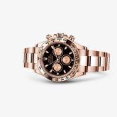 Rolex - 116505-0002  Cosmograph Daytona Everose / Black