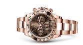 Rolex - 116505-0004  Cosmograph Daytona Everose / Chocolate