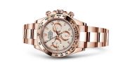 Rolex - 116505-0005  Cosmograph Daytona Everose / Ivory