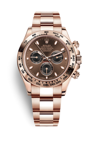 Rolex - 116505-0013  Cosmograph Daytona Everose / Chocolate