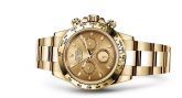 Rolex - 116508-0003  Cosmograph Daytona Yellow Gold / Champagne